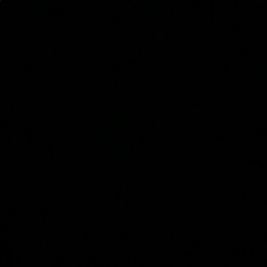 Meet your Posher, Jake